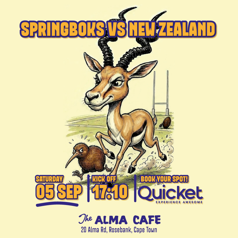 Springboks vs New Zealand Game 3